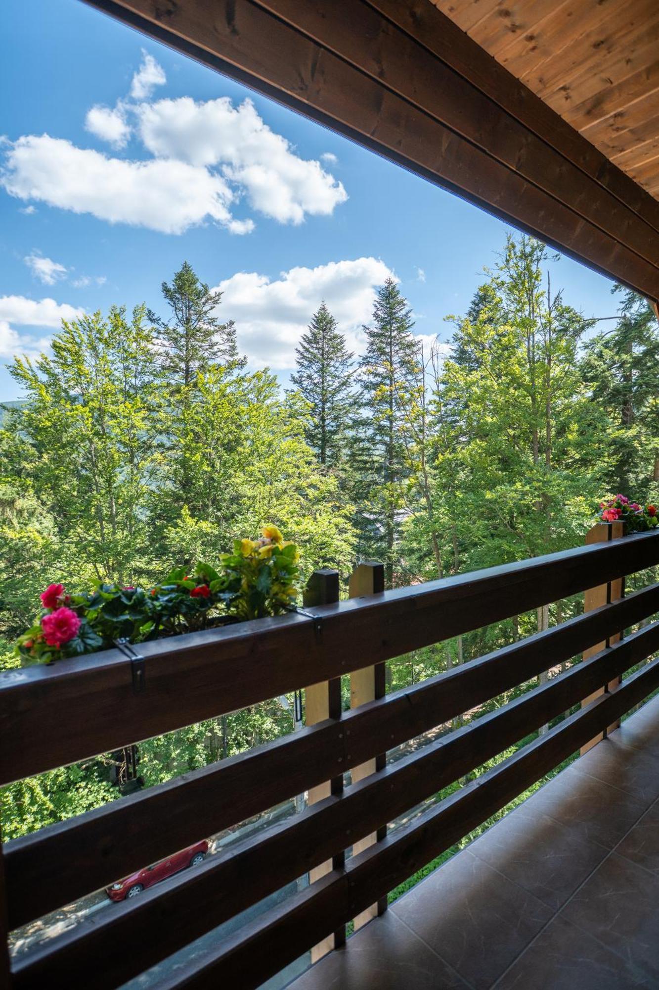 Opus Villa Sinaia Exterior photo A balcony in the Alps