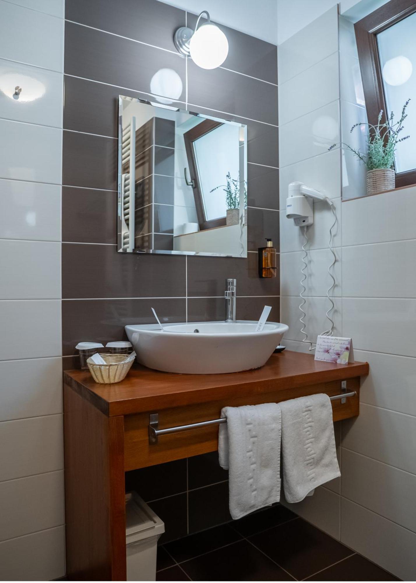 Opus Villa Sinaia Exterior photo Bathroom in a hotel