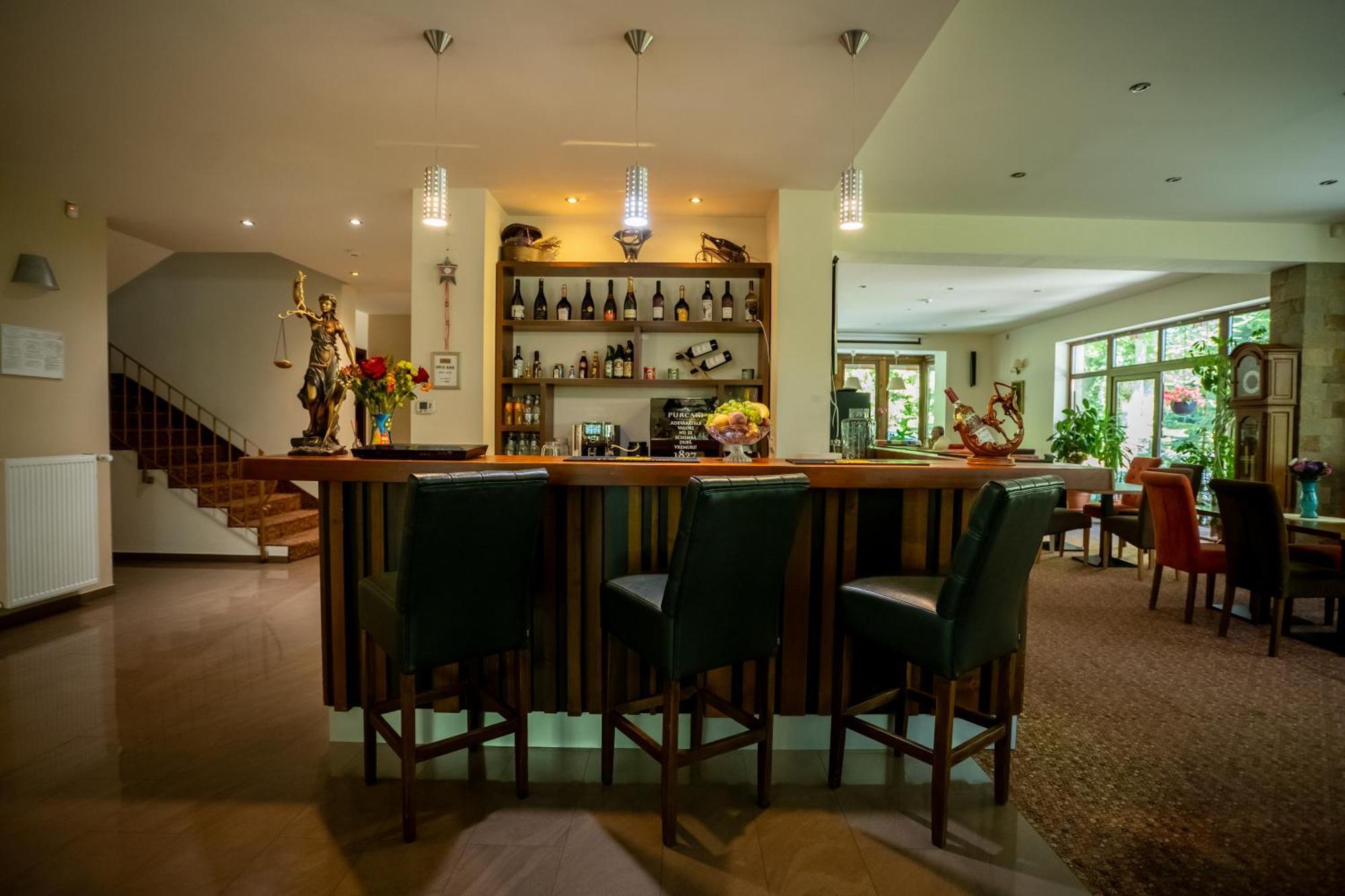 Opus Villa Sinaia Exterior photo The bar at the hotel