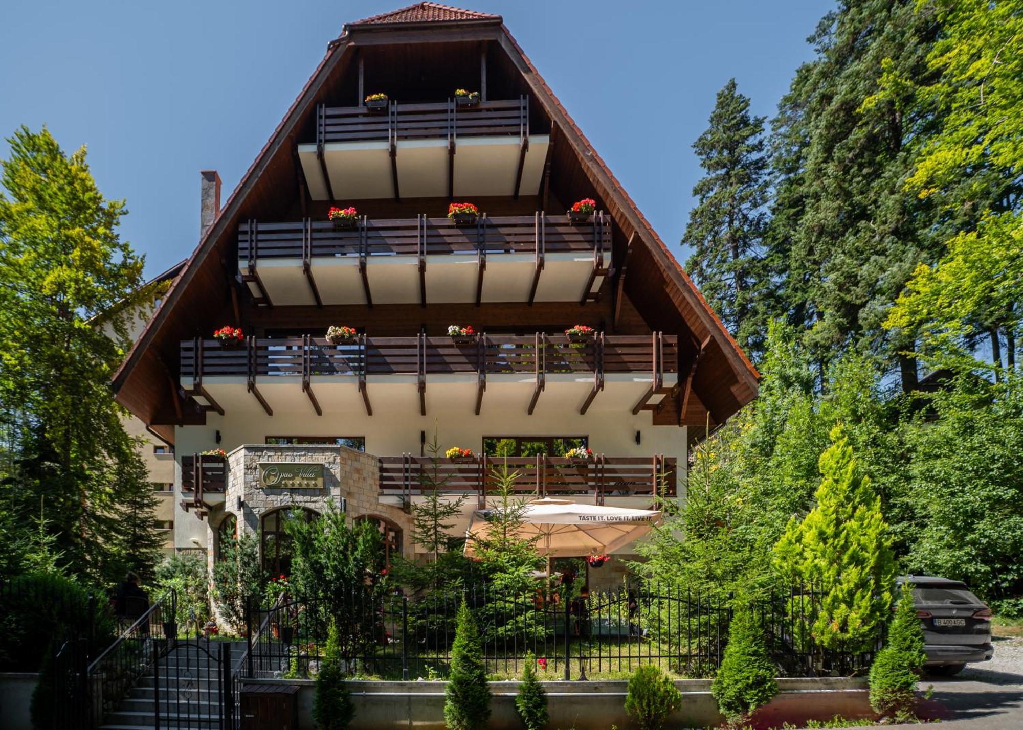 Opus Villa Sinaia Exterior photo The chalet in 2012